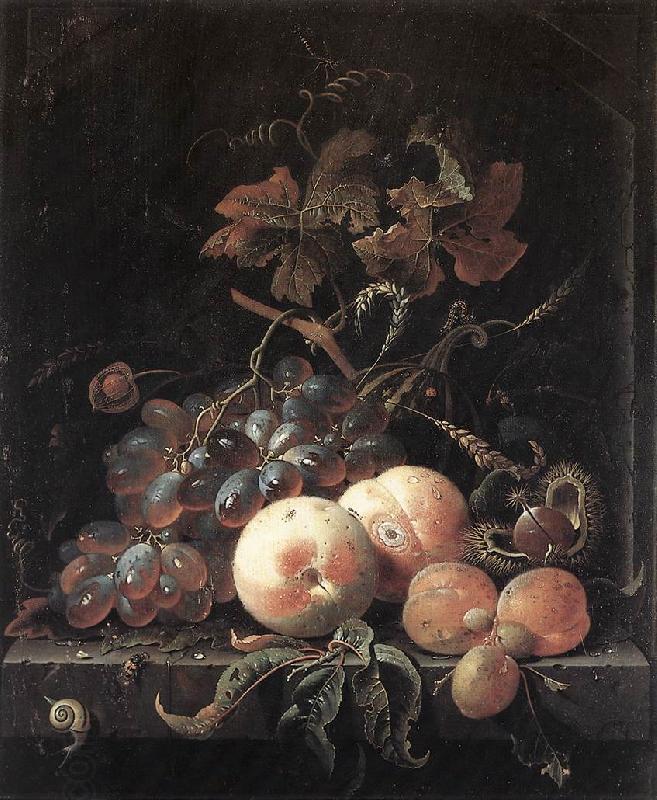 MIGNON, Abraham Still-Life with Fruits sg China oil painting art
